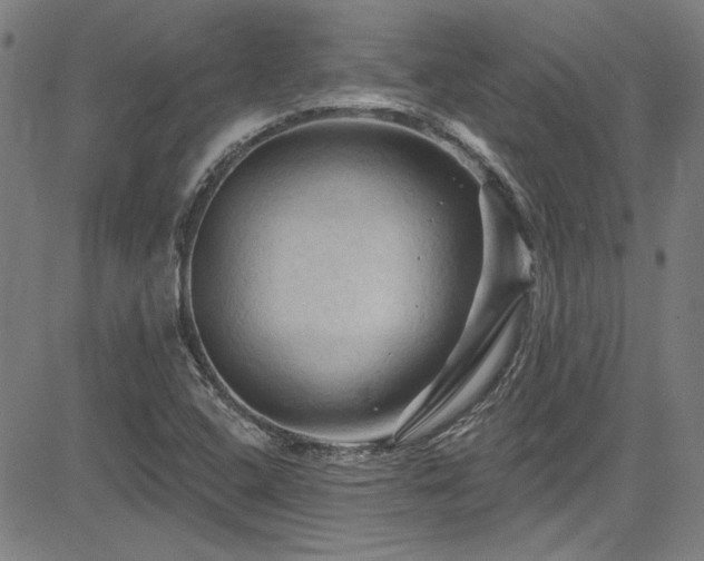 X0000085321408200703091459