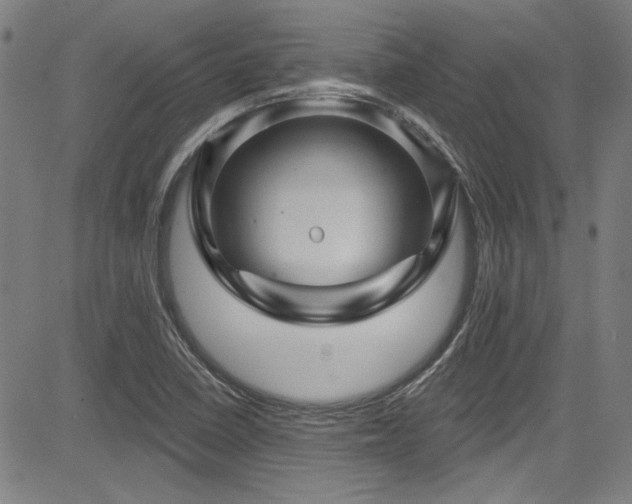 X0000085321410200703091459