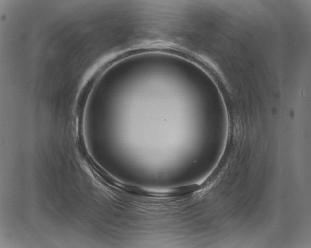 X0000085321414200703091459