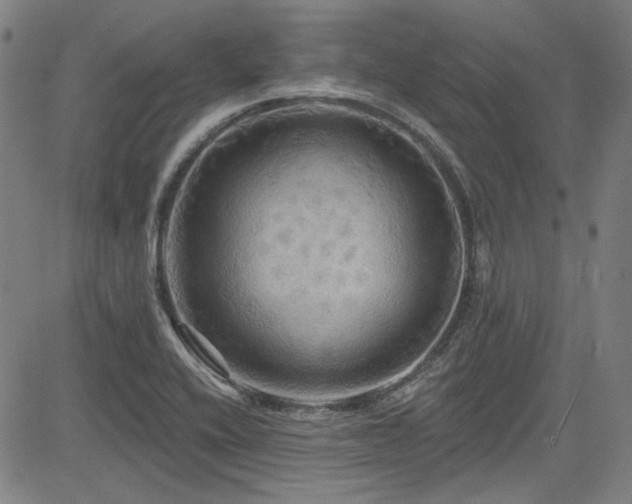 X0000085321416200703091500