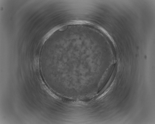 X0000085321417200703091500