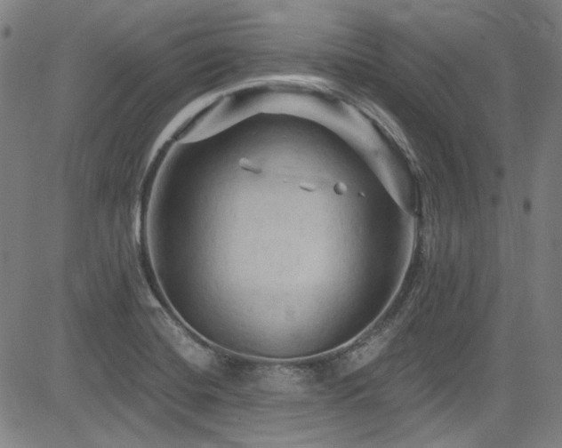 X0000085321420200703091500