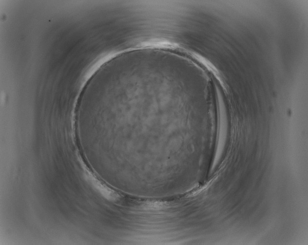 X0000085321423200703091500