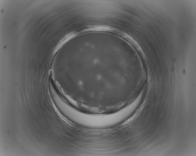 X0000085321425200703091500