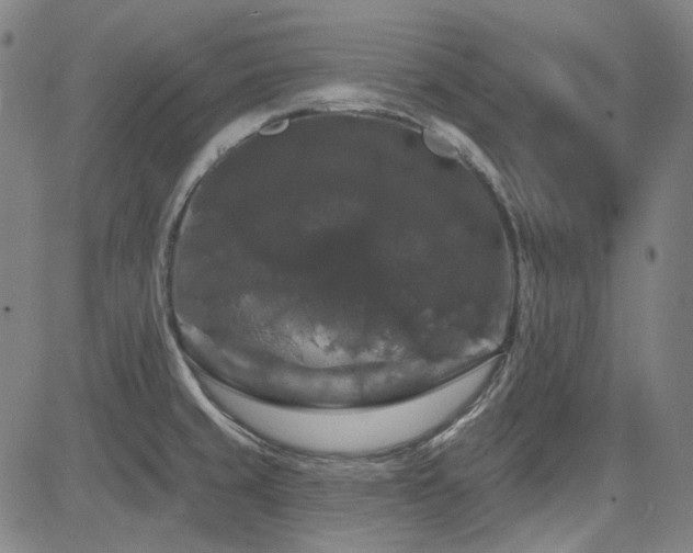 X0000085321429200703091500