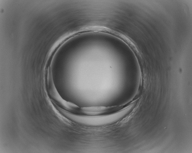 X0000085321430200703091500
