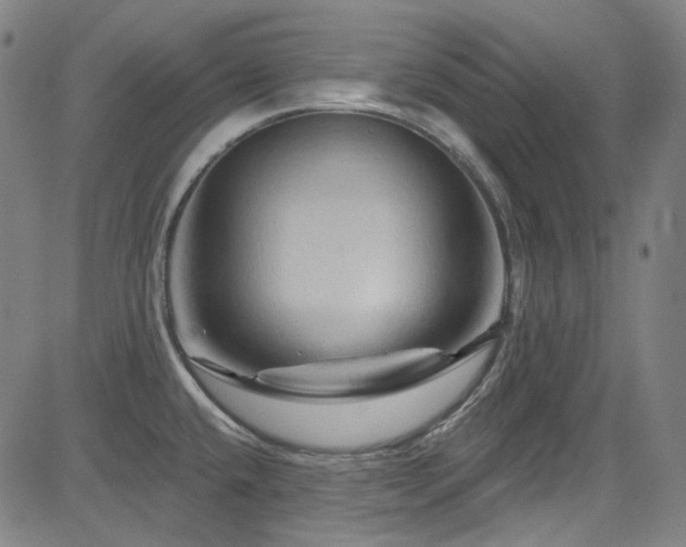 X0000085321432200703091500