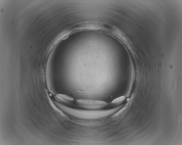 X0000085321433200703091500