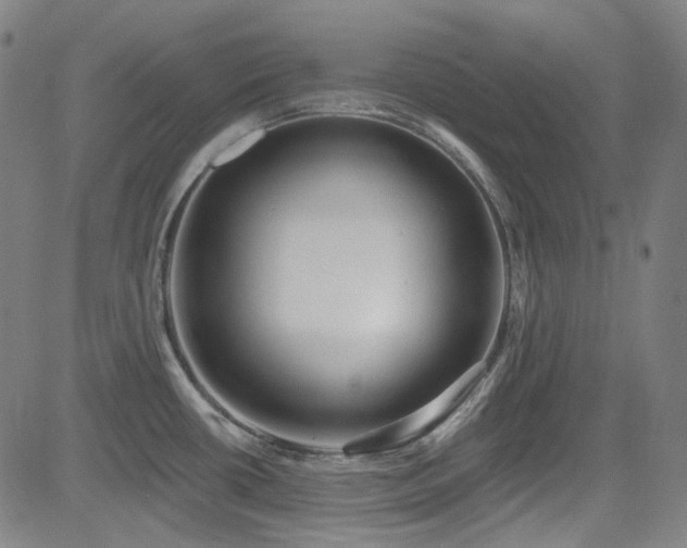 X0000085321434200703091500