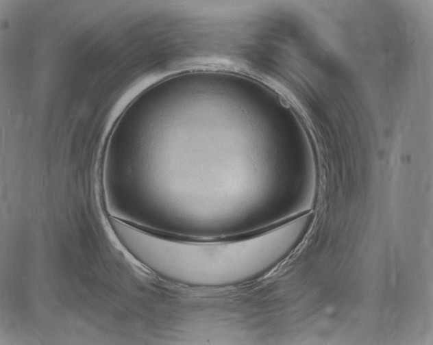 X0000085321440200703091500