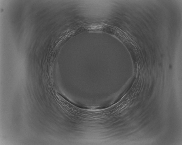 X0000085321441200703091459