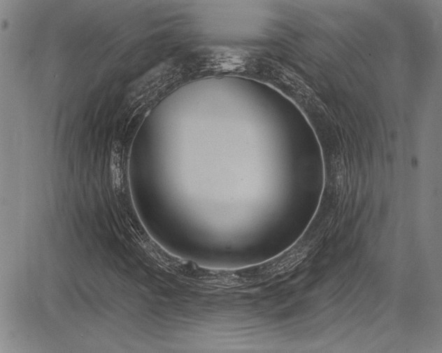 X0000085321442200703091459