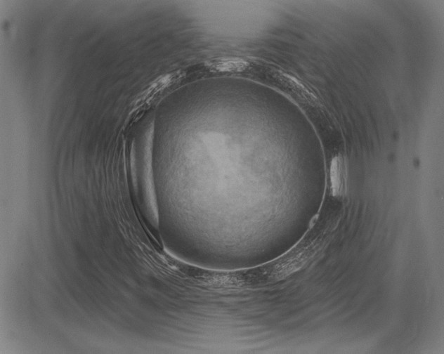 X0000085321443200703091459