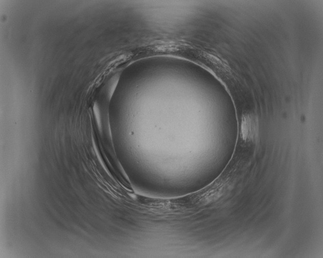X0000085321444200703091459