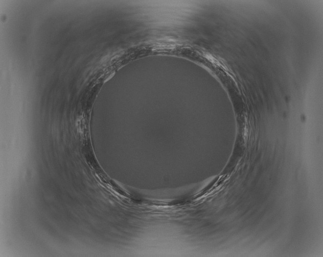 X0000085321445200703091459