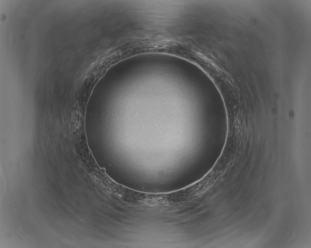 X0000085321447200703091459