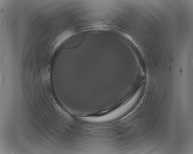X0000085321450200703091459