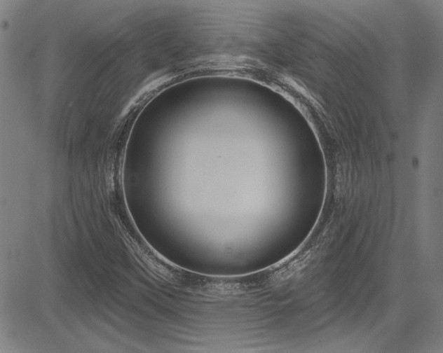 X0000085321451200703091459