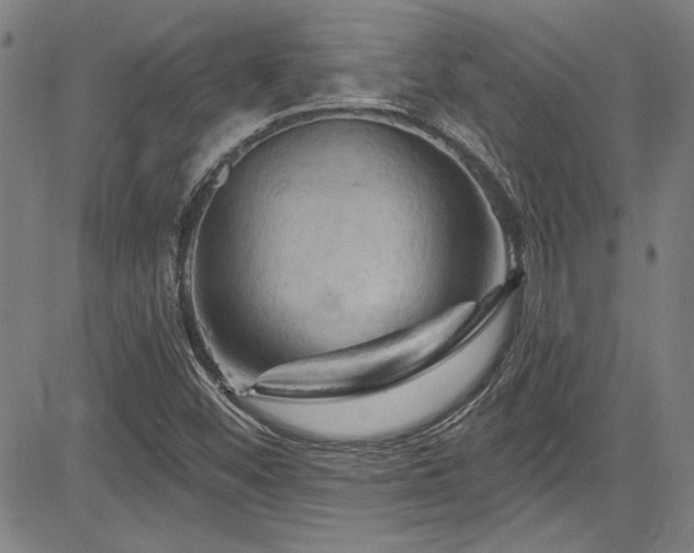 X0000085321452200703091459