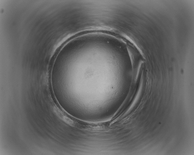 X0000085321460200703091459