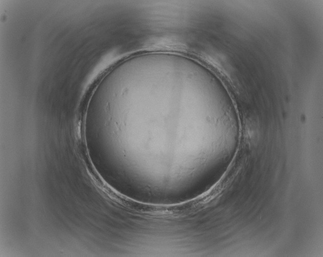 X0000085321462200703091459