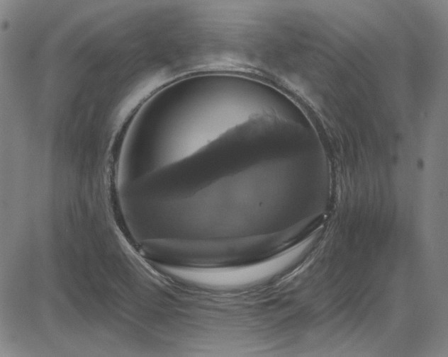 X0000085321463200703091459