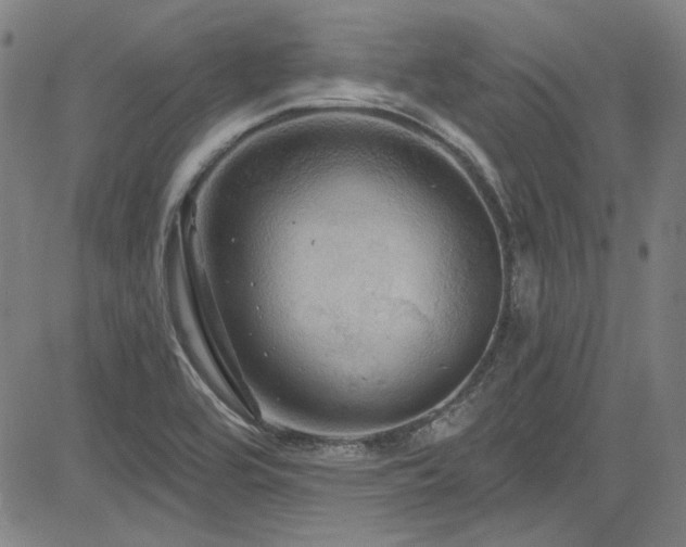 X0000085321464200703091459