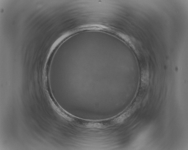 X0000085321466200703091459