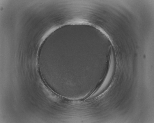 X0000085321469200703091459