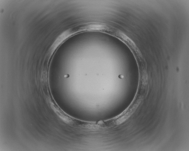 X0000085321473200703091459