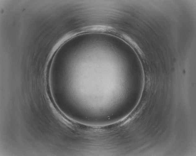X0000085321475200703091459