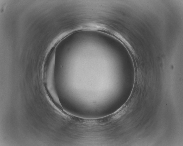 X0000085321477200703091459