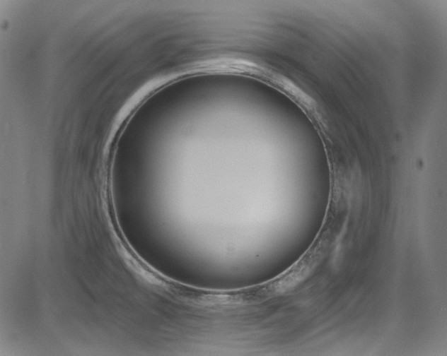 X0000085321478200703091459