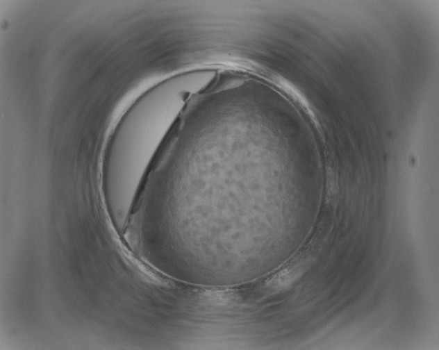 X0000085321480200703091458