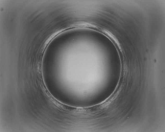 X0000085321481200703091458