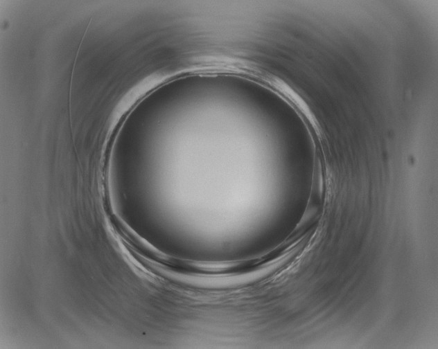 X0000085321485200703091458