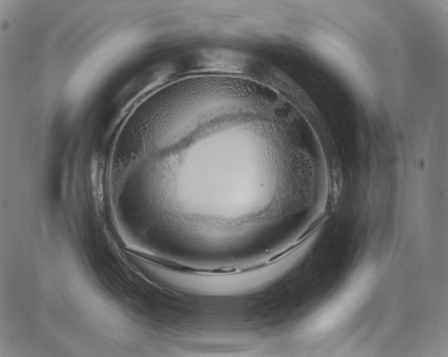 X0000085321487200703091458
