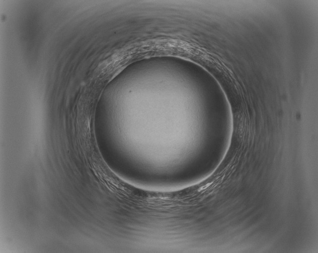 X0000085321489200703091458