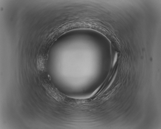 X0000085321490200703091458