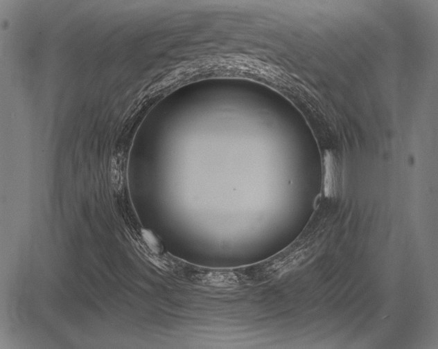 X0000085321491200703091458