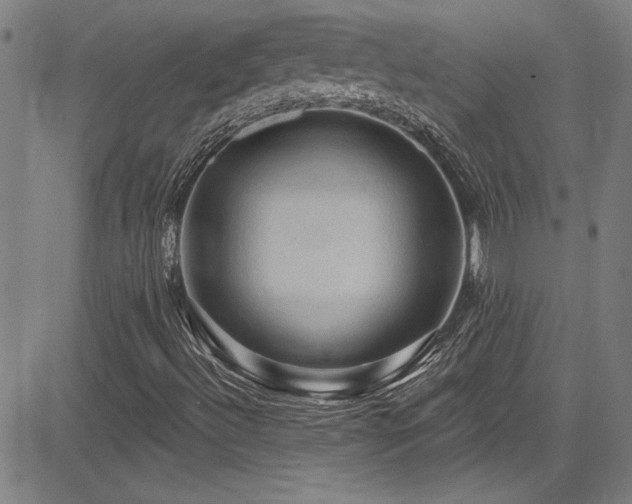X0000085321492200703091458