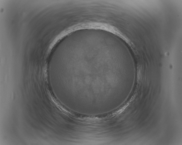 X0000085321498200703091458