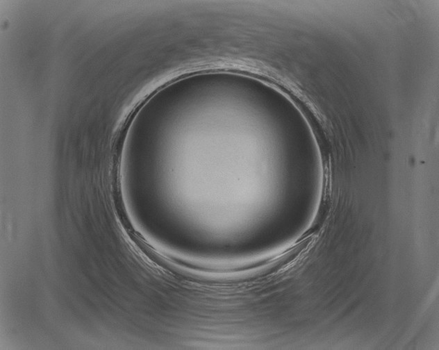 X0000085321500200703091458