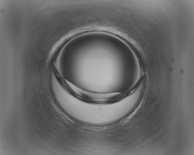 X0000085321502200703091458