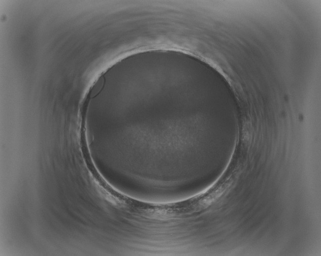 X0000085321508200703091458