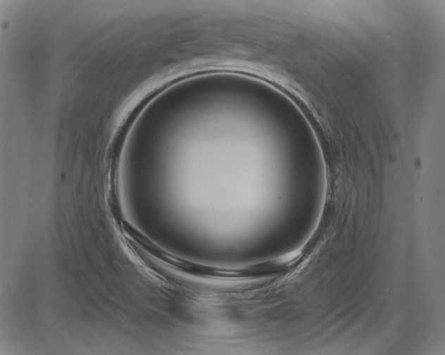 X0000085321511200703091458
