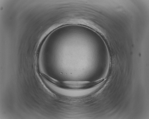 X0000085321517200703091458