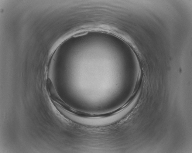 X0000085321524200703091458