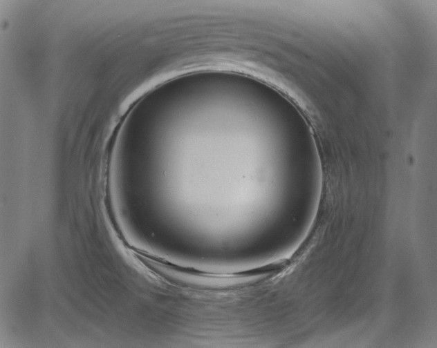 X0000085321526200703091458
