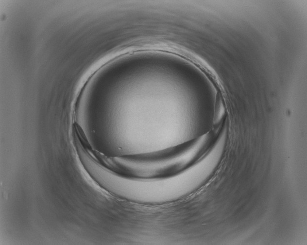 X0000085321528200703091458